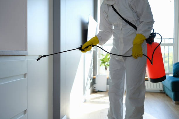 Best Residential Mold Removal  in Lucedale, MS
