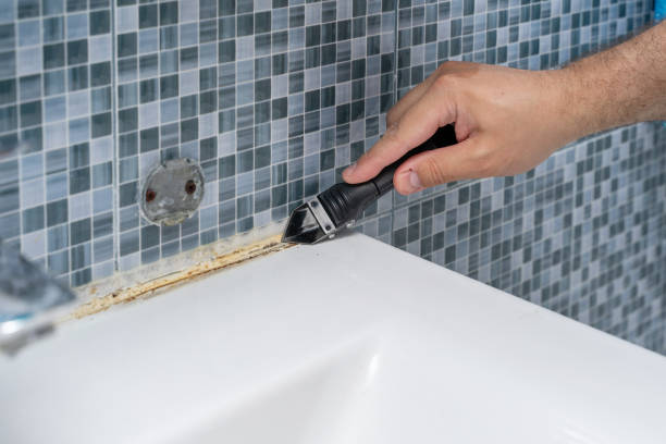 Best Mold Cleaning Services  in Lucedale, MS